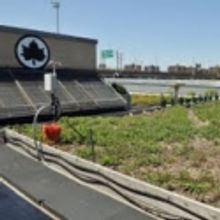 Nat'l Fish & Wildlife & FedEx Deliver Grant to Expand Parks' 5 Borough Parks Green…